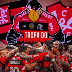 Tropa Do Flamengo - Mc Rodrigo Do CN ((Dj Jeffinho Thug))