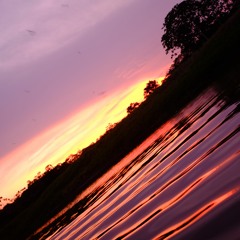 While You Were Sleeping