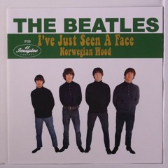 I've Just Seen A Face - The Beatles Cover