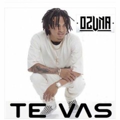 Ozuna - Te Vas(remix)