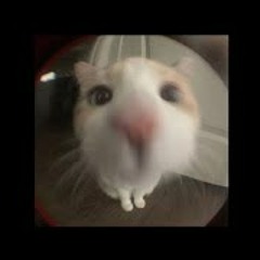 Mogę dziś umierać (sped up)