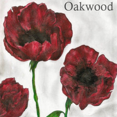 oakwood - pokemon master