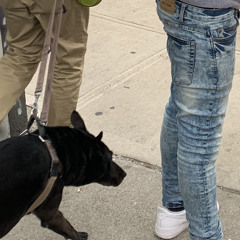 JERK IN MY NEW JEANS (feardorian)