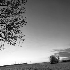 Weißer Acker (sped up)