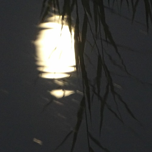 quiet and selfish [disquiet # 0616] w/how the night came