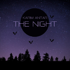 The Night