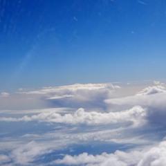 blind refuge within the shores of my guitars sound