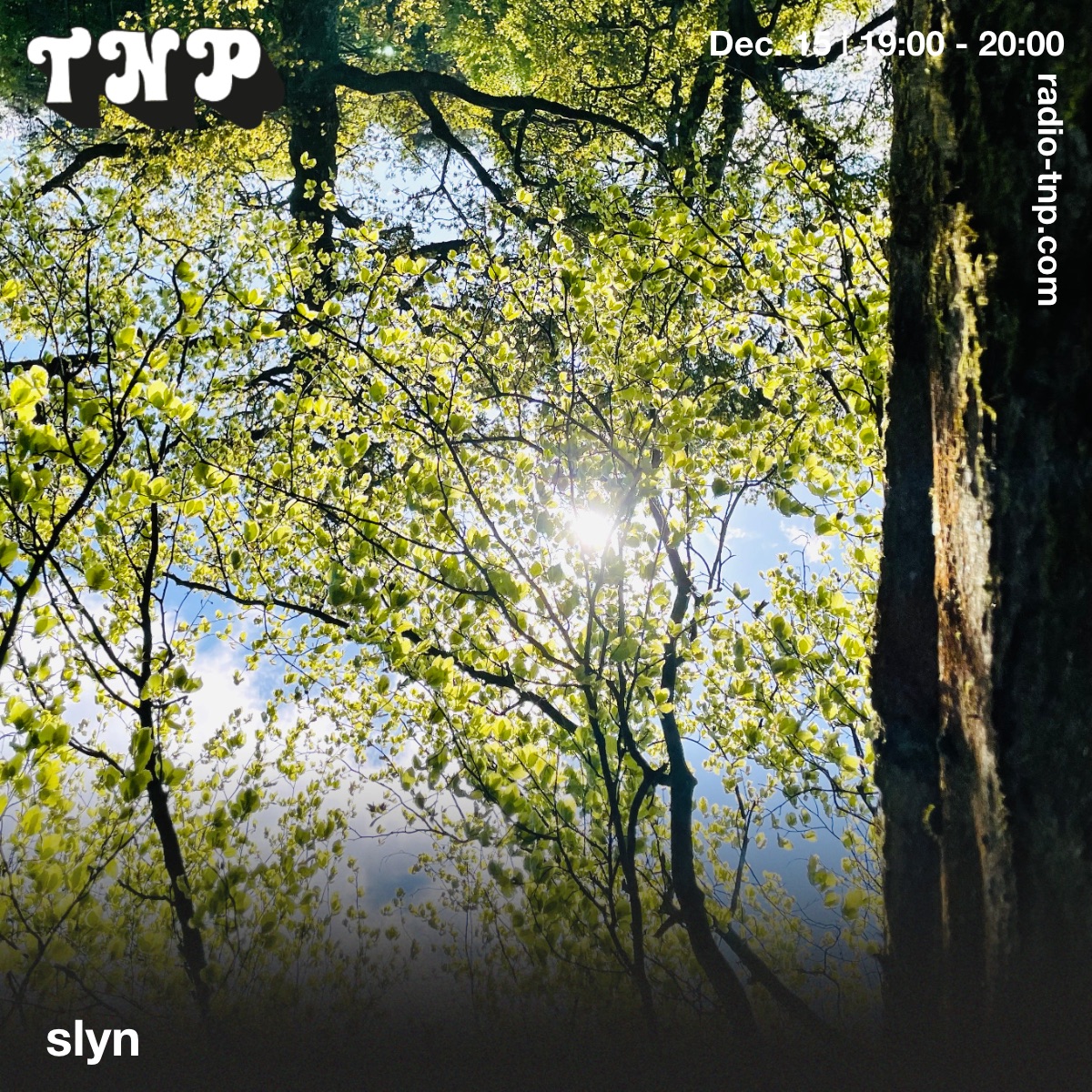 slyn