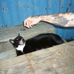 Anemoia