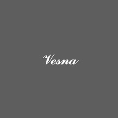 shteyn - Vesna