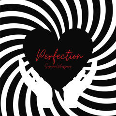 Perfection (prod. mercy!)