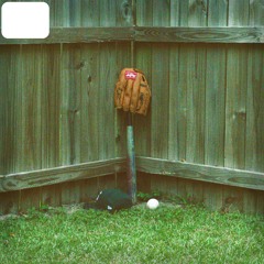 SWING FOR THE FENCEZ