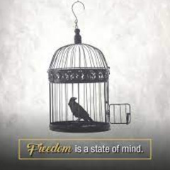 Mind Over Matter
