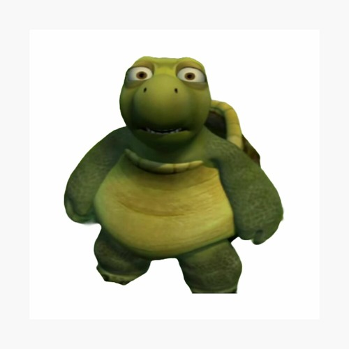 Shocked Turtle HUH Know Your Meme, 40 OFF