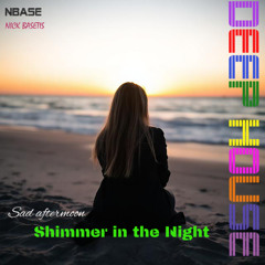 Shimmer in the Night
