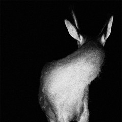 YEAT - TIMË PASSED (silverbullet edit)