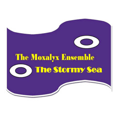 The Stormy sea