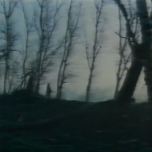 attempt at neuro but i miserably failed