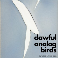 Analog Birds