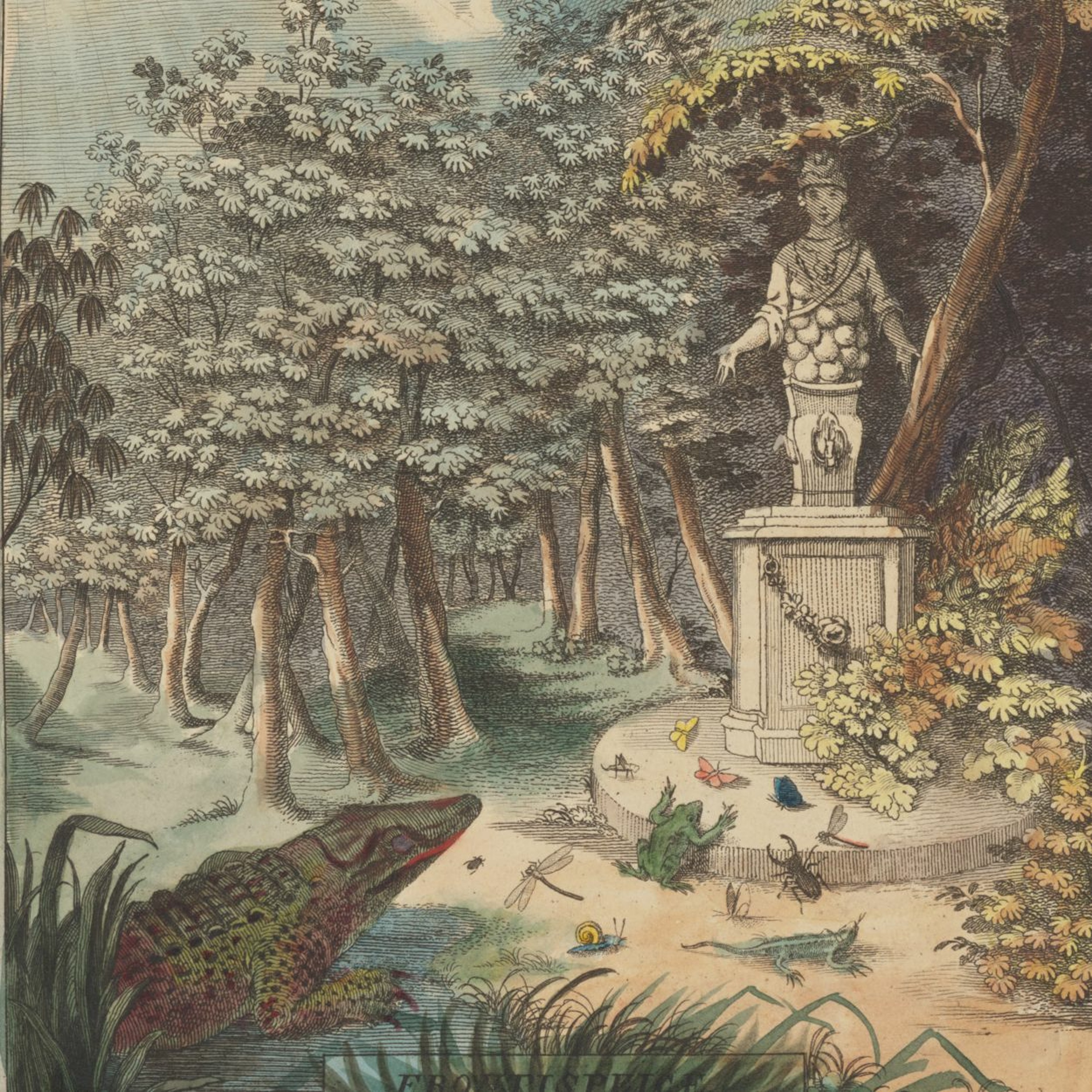 Meet a Rare Book - Hand Colouring episode artwork