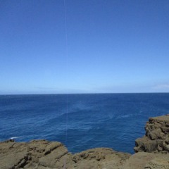 back to the sea