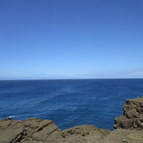 back to the sea