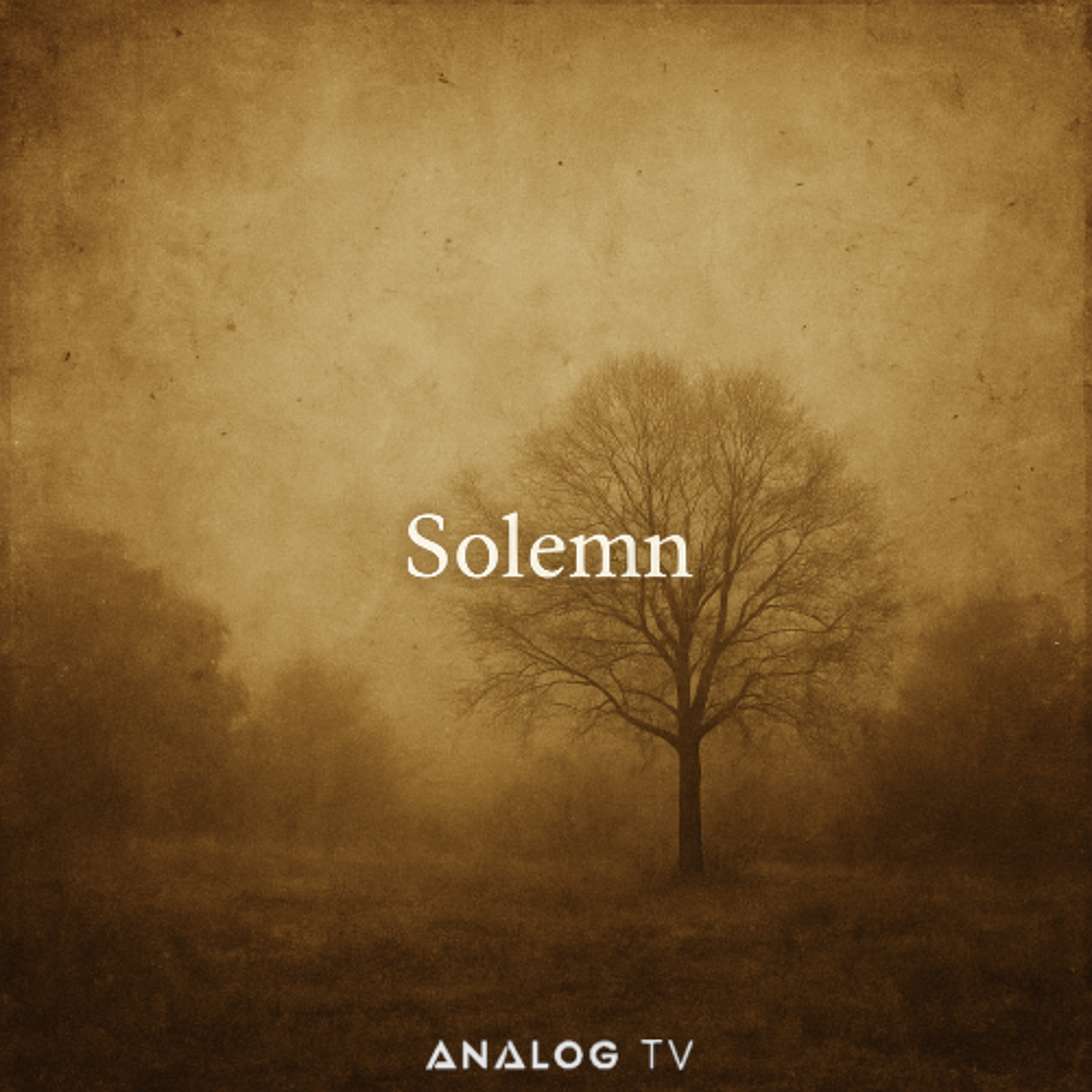 Solemn episode artwork