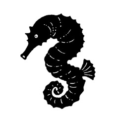 Seahorse