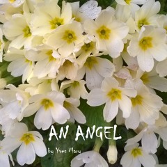 AN ANGEL