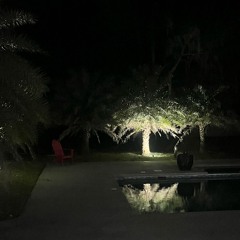 More Than Ever (Prod. GAXILLIC & elvien)