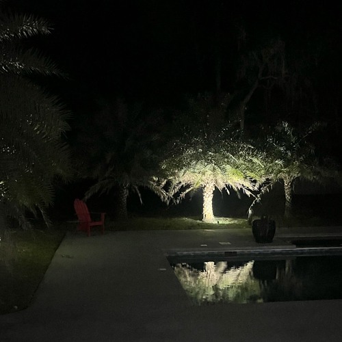 More Than Ever (Prod. GAXILLIC & elvien)