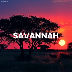 "Savannah" Amapiano Instrumental