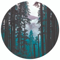 Untitled I (Pemex- Shakewell, Fat Nick House Remix)