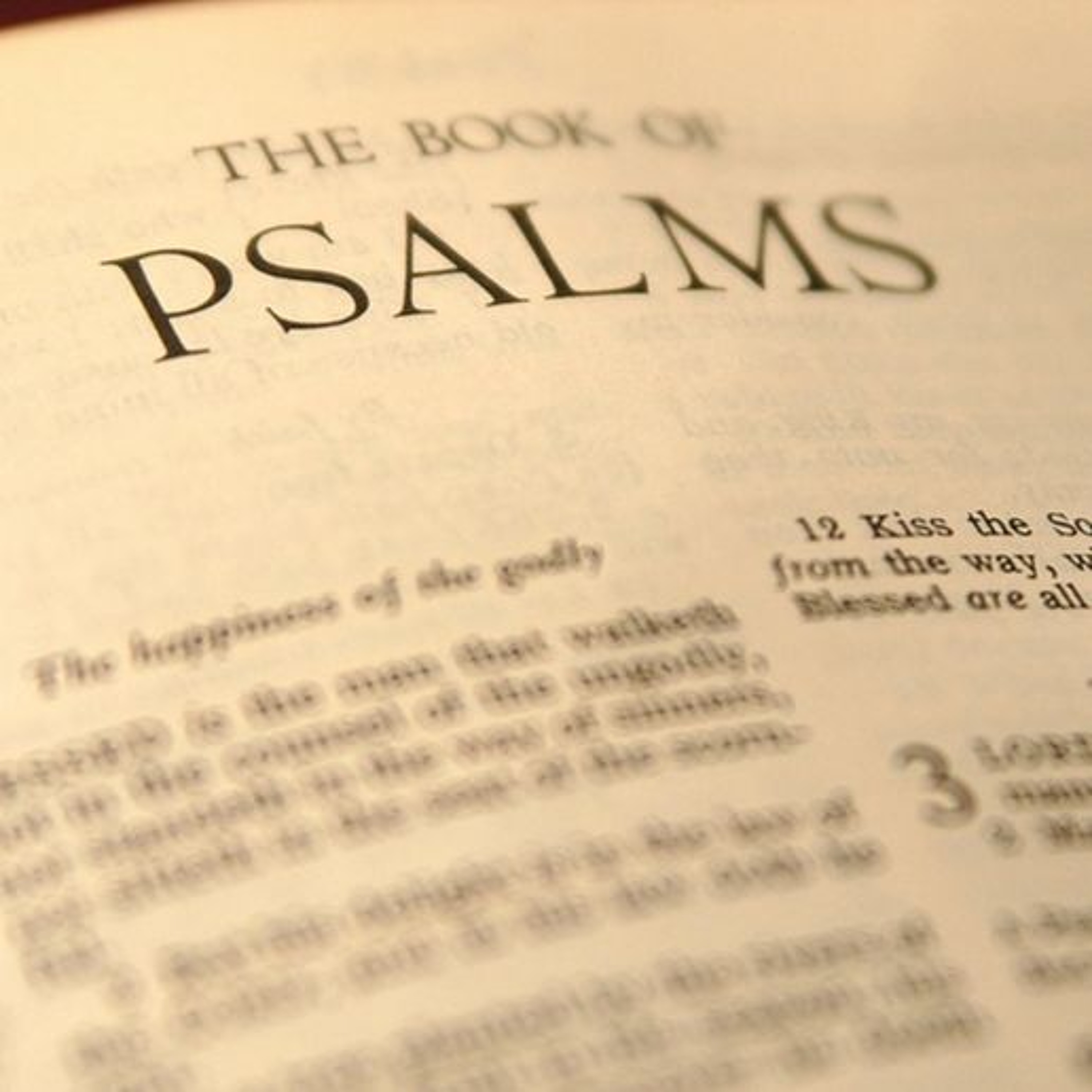Psalm 1 - The Right Map for the Right Path (5-12-24) episode artwork