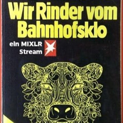 @ Wir Rinder vom Bahnhofsklo #011 02.07.2023 [Vinyl Mix]