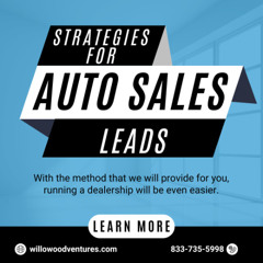 Strategies for Auto Sales Leads
