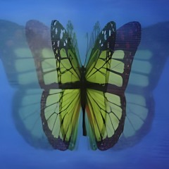 rumble (heaven fell remix) x magic armour (samplifire remix)