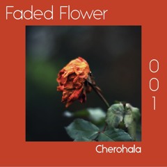 Faded Flower | 001