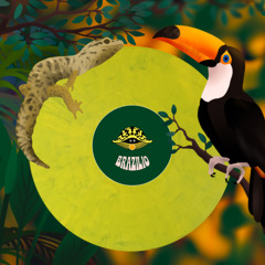 Brazil rare grooves mix | Best of Chill Brazilian Music