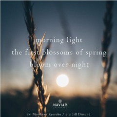morning light ( Naviarhaiku 367 )