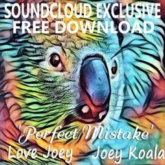 Joey Koala ft Melanie - Perfect Mistake