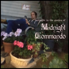 The Lonely Mulqvist