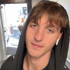 bitches on hoes (prodskin)