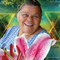 25 - Eu vivo na Floresta