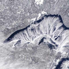 Cozy Buz (TOGETHER WE'RE STRONGER)