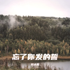 忘了你发的誓 (DJ九零版伴奏)