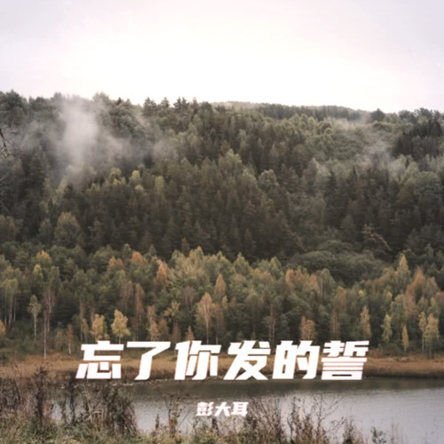 忘了你发的誓 (DJ九零版伴奏)