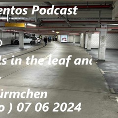 Podcast 1102 @ Animals In The Leaf And Stem Layers - Glühwürmchen ( Kyoto ) 07 06 2024