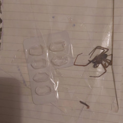 better off alone x smth (its so over)