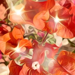 Validation MasMusicMedi (Sample)